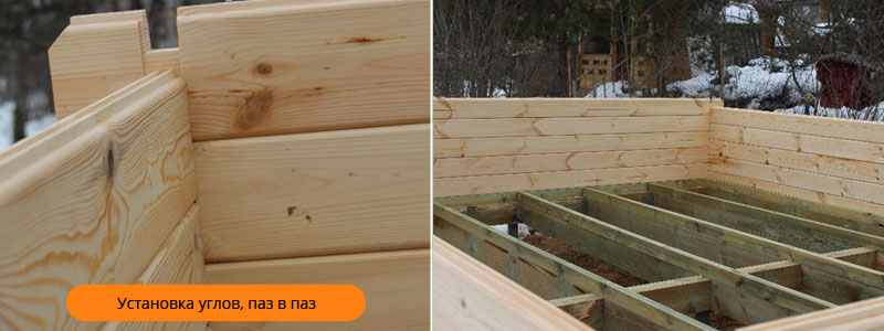 Садовый дом, проект 1.10